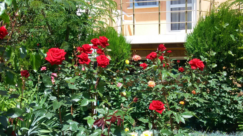 Отдых в Николаевке (Крым)